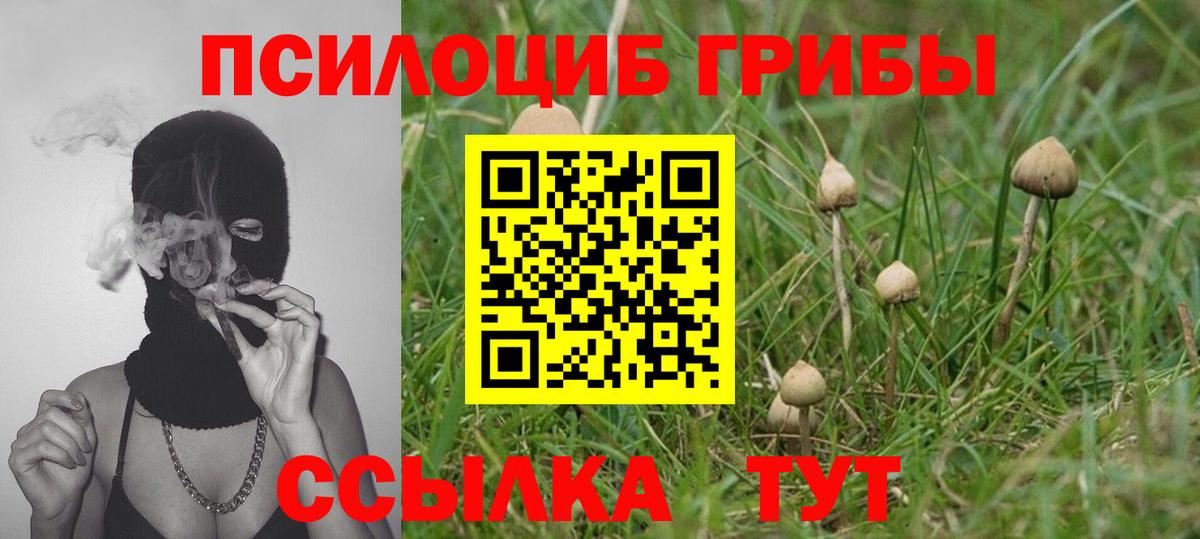 Галлюциногенные грибы ЛСД  Вход с VPN  Новокубанск 