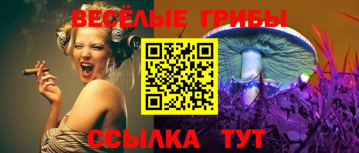 Псилоцибиновые грибы прущие грибы Новокубанск